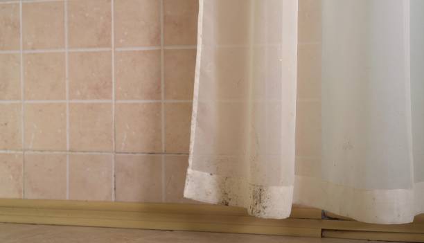 Best Residential Mold Inspection & Testing  in Nevada, IA