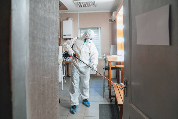 Forensic Mold Investigation in Nevada, IA
