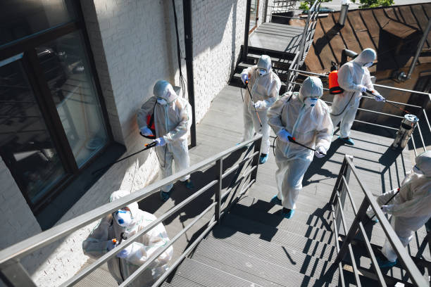 Best Black Mold Removal  in Nevada, IA