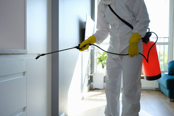 Environmental Consulting for Mold Prevention in Nevada, IA