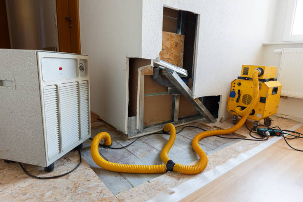 Best Mold Odor Removal Services  in Nevada, IA
