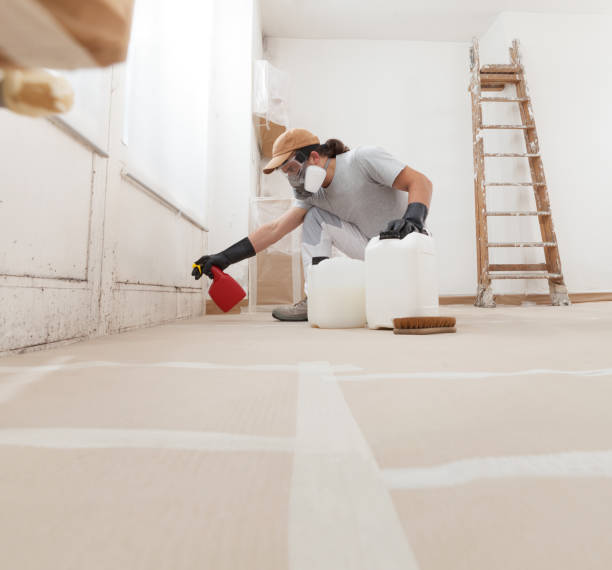 Professional Mold Removal in Nevada, IA
